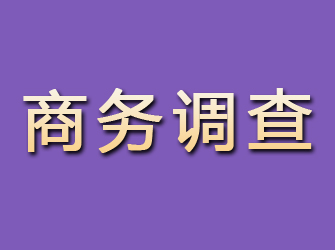 长武商务调查